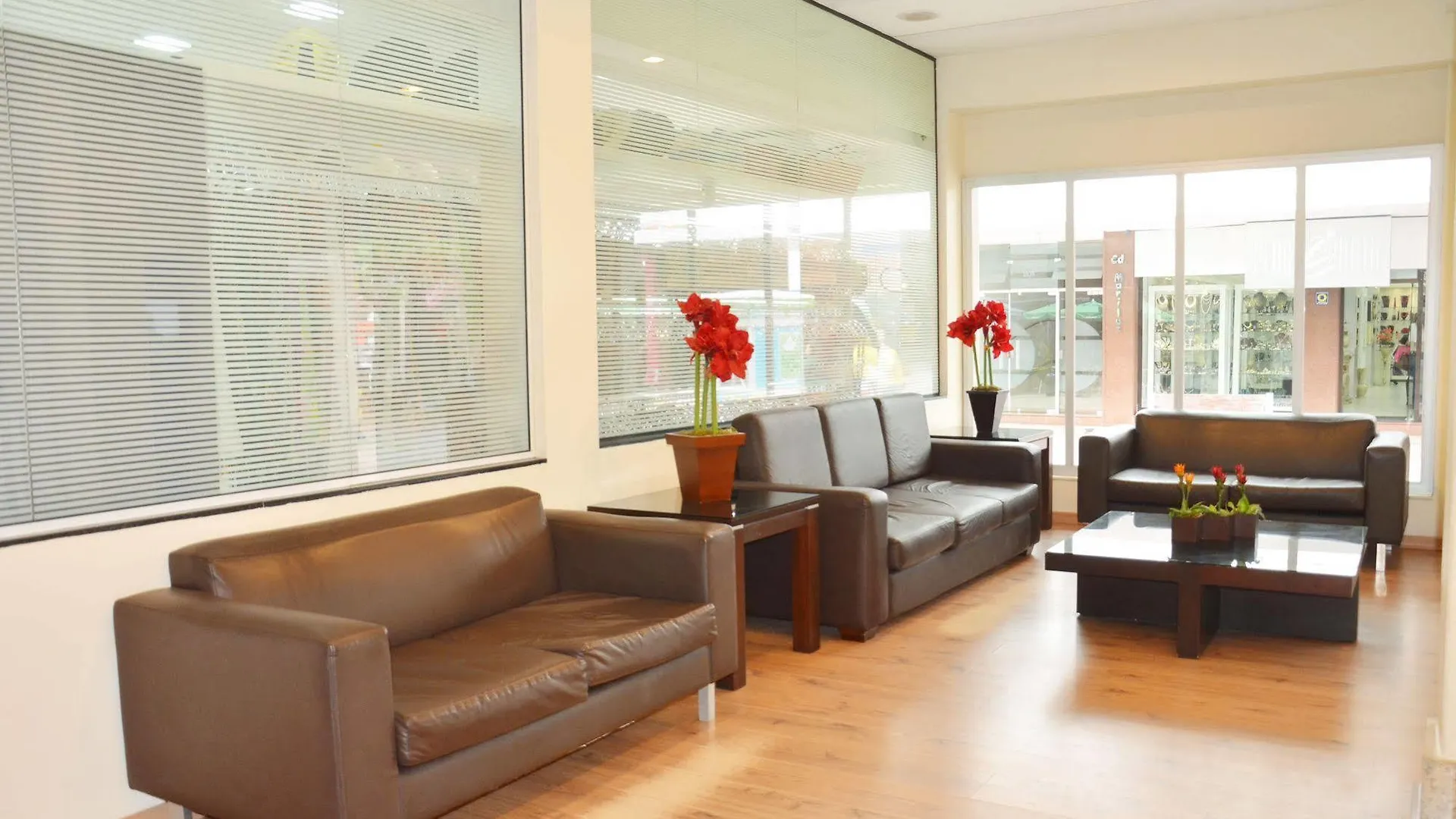 Hotel Ryan Balneario Camboriu